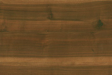 Pflaume oder Zwetschge